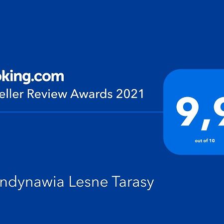 Skandynawia Lesne Tarasy Дзивновек Экстерьер фото